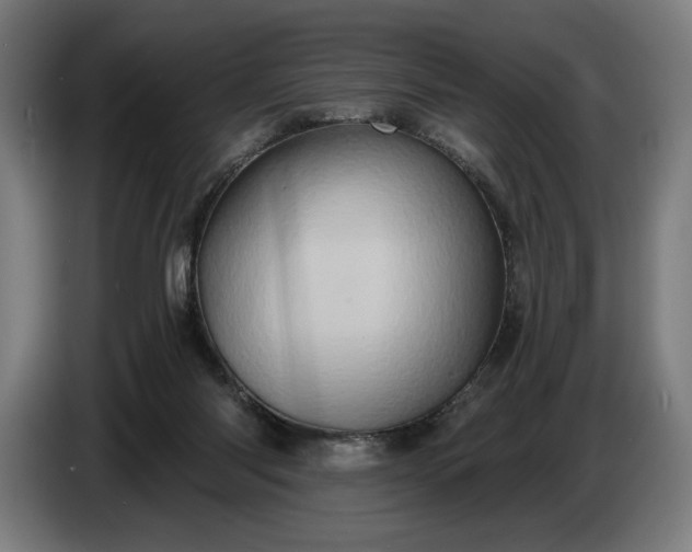 X0000087410118200705041255