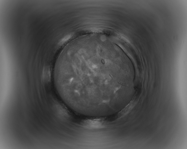 X0000087410120200705041255