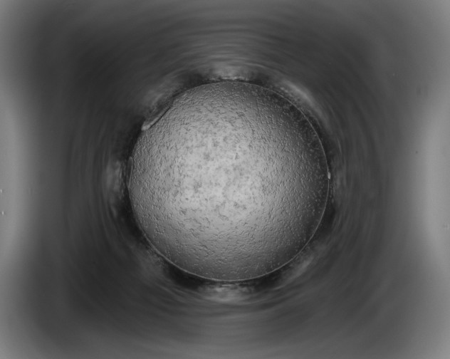 X0000087410121200705041255