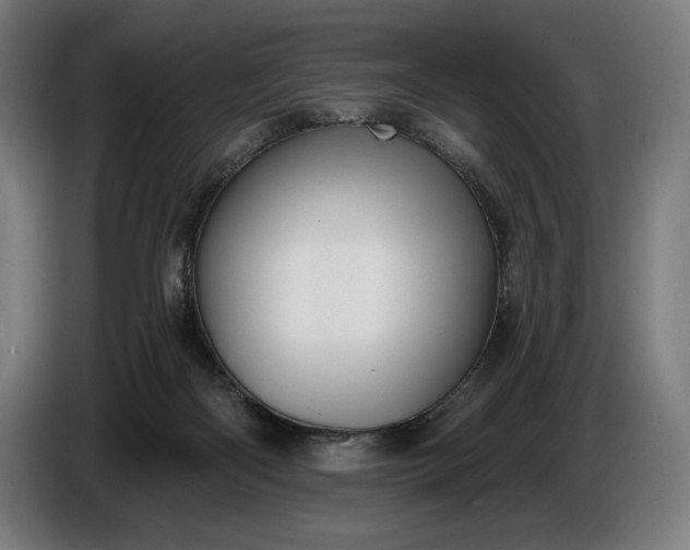 X0000087410122200705041255