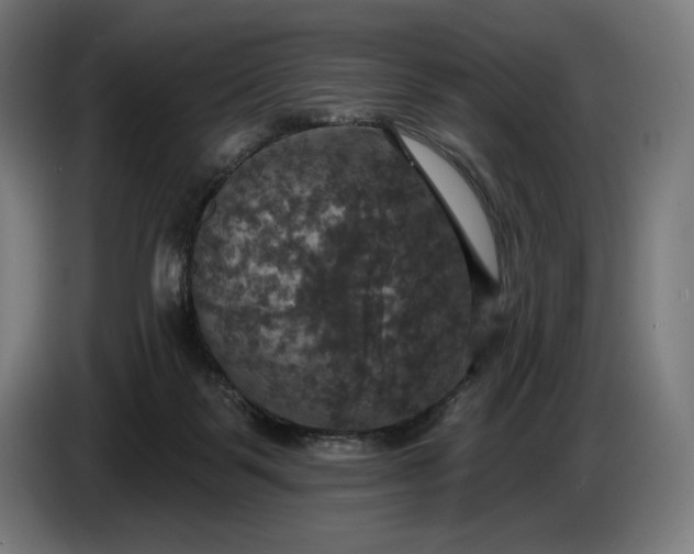 X0000087410123200705041255