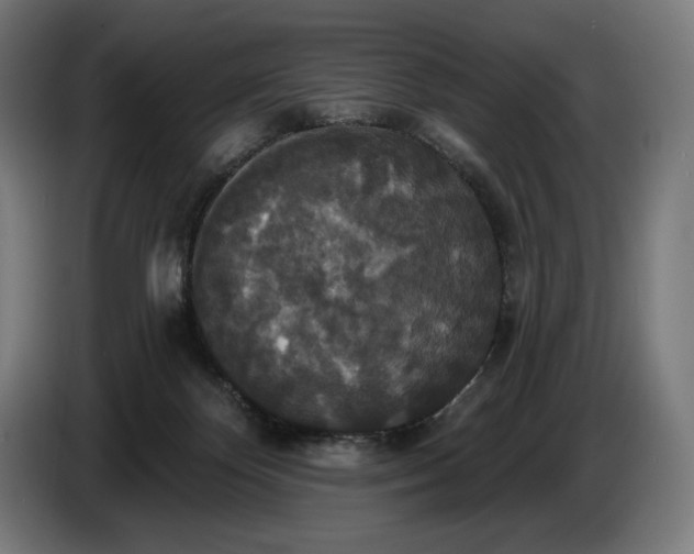 X0000087410124200705041255