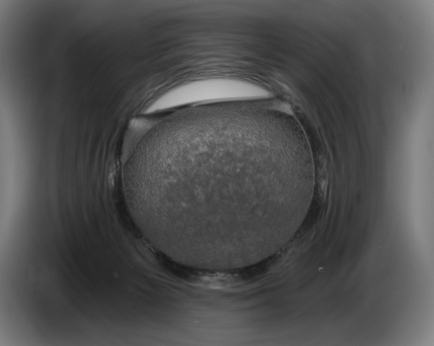 X0000087410125200705041255