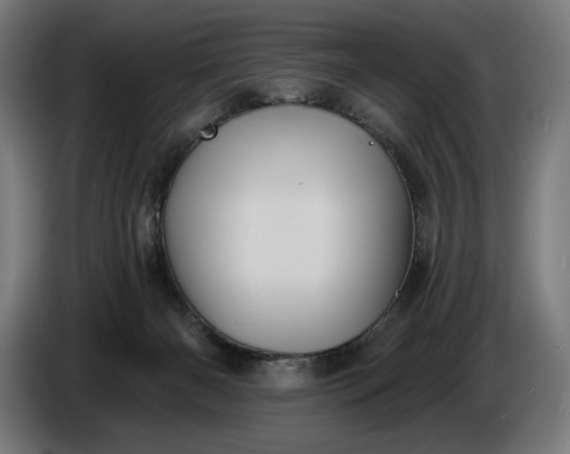 X0000087410126200705041255