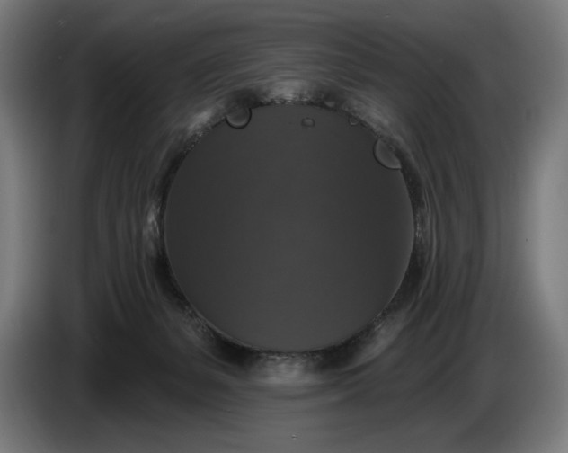 X0000087410127200705041255