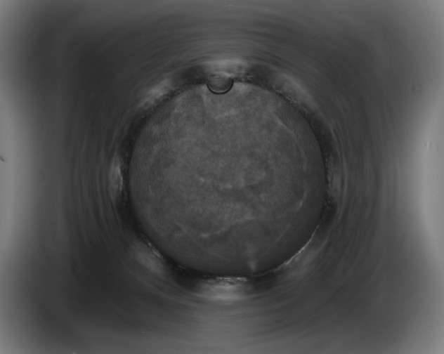 X0000087410128200705041255