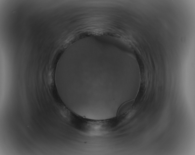 X0000087410131200705041255