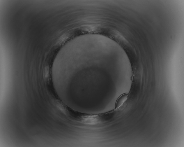 X0000087410132200705041255