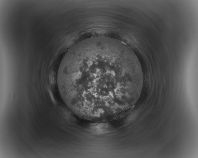 X0000087410135200705041255