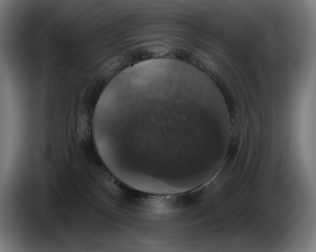 X0000087410136200705041255