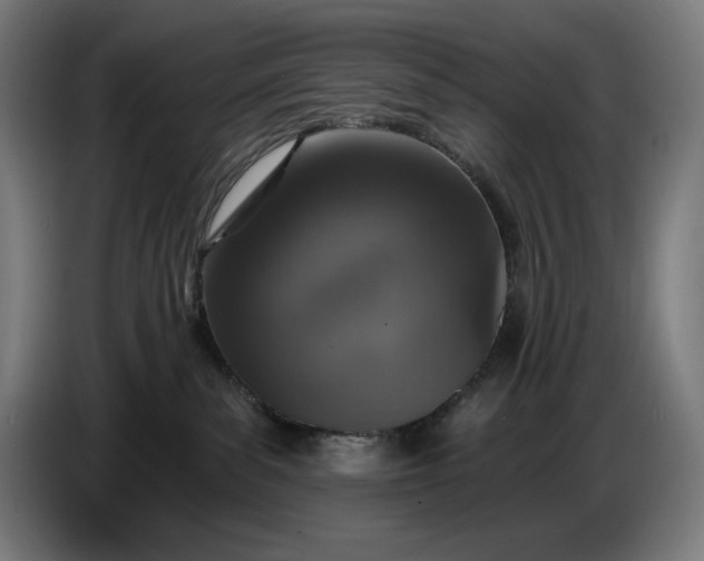 X0000087410139200705041255