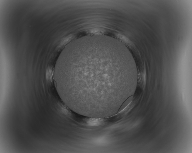 X0000087410142200705041255