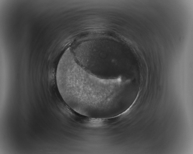 X0000087410144200705041255