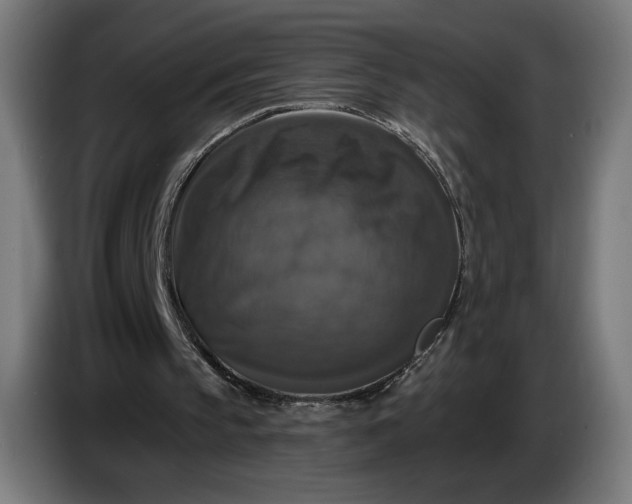 X0000087410145200705041254