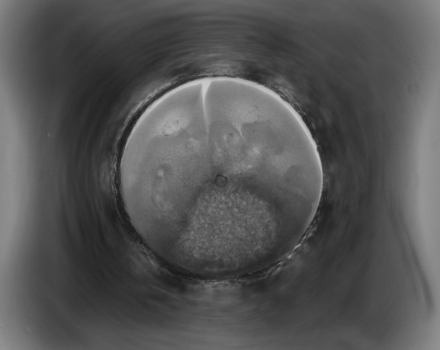 X0000087410146200705041254