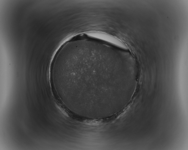 X0000087410148200705041255