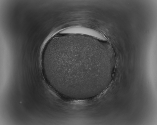 X0000087410150200705041255