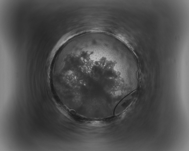 X0000087410151200705041255