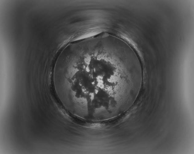 X0000087410153200705041255