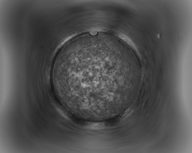 X0000087410155200705041255