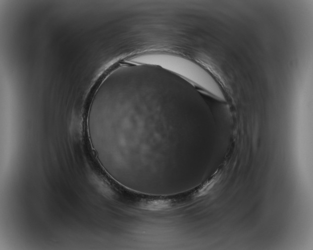 X0000087410156200705041255