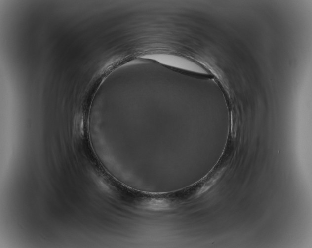 X0000087410157200705041255