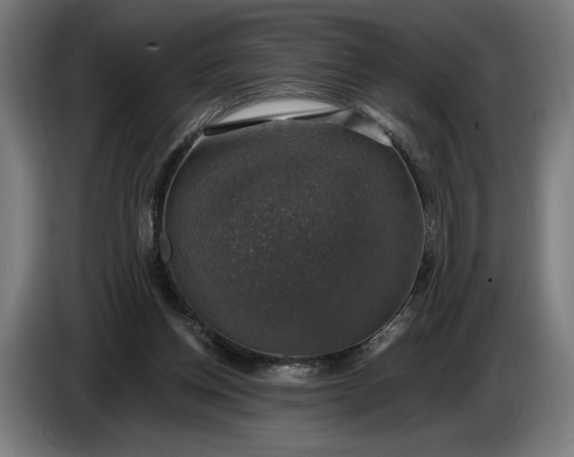 X0000087410158200705041255