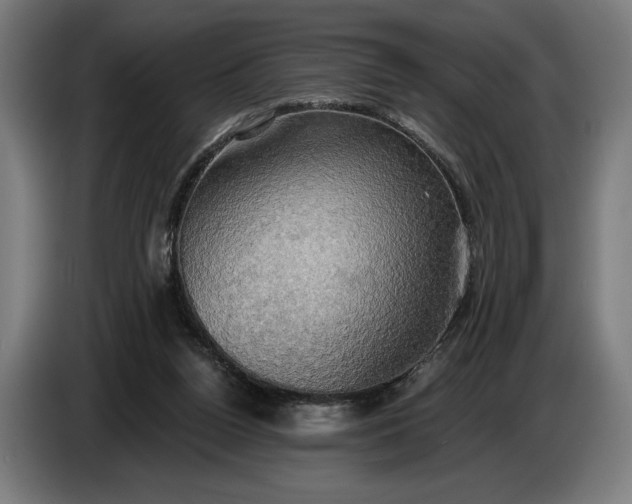 X0000087410160200705041255