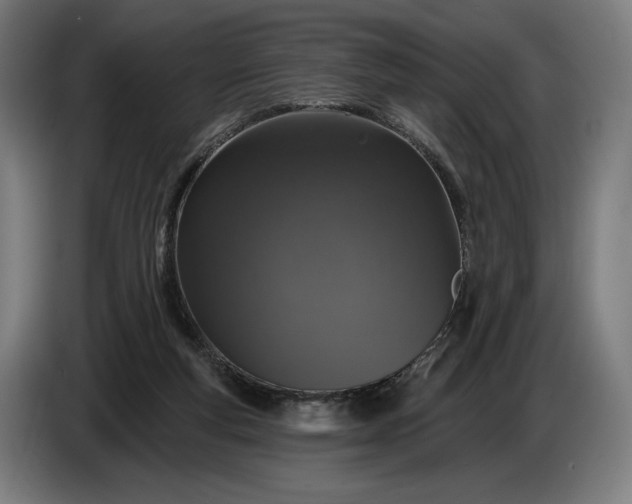 X0000087410163200705041255