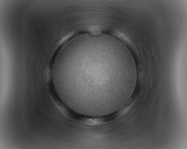 X0000087410164200705041255