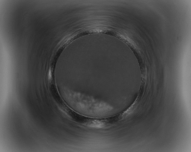 X0000087410166200705041255