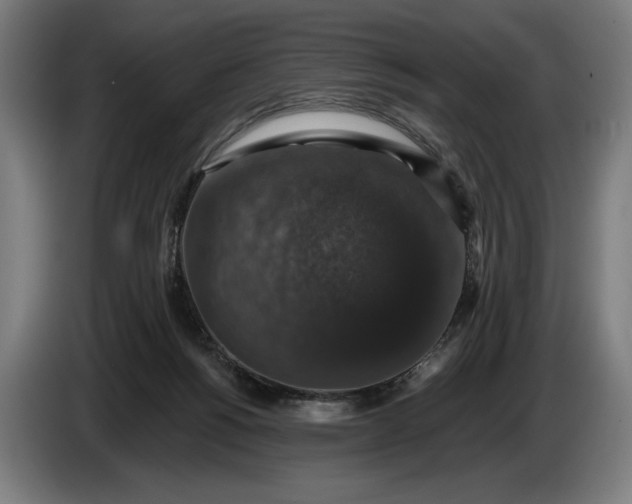 X0000087410168200705041255