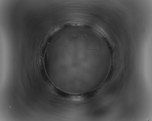 X0000087410169200705041255