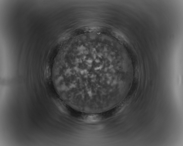 X0000087410173200705041255