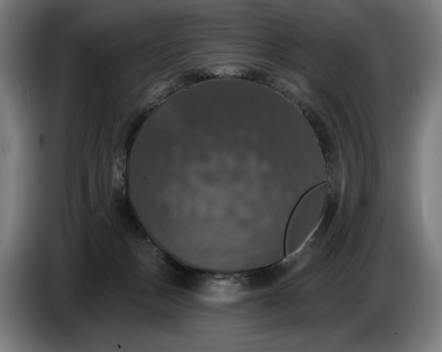 X0000087410175200705041255