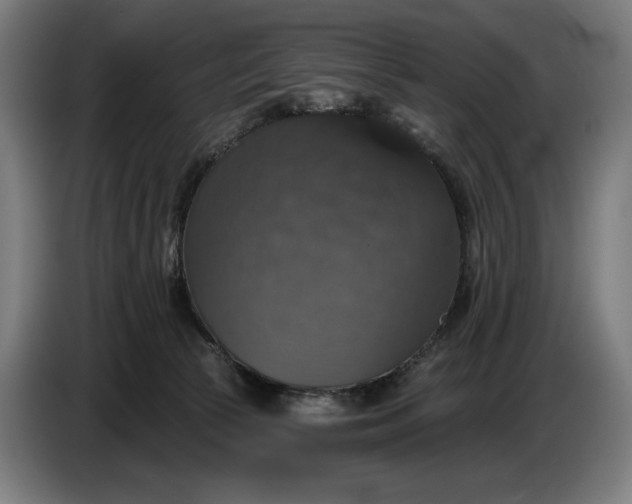 X0000087410177200705041255