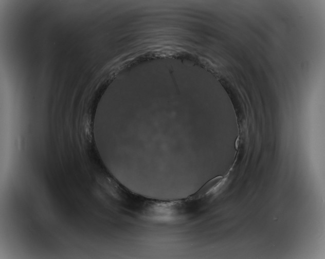 X0000087410178200705041255