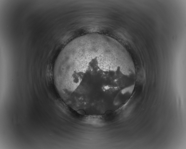 X0000087410179200705041255