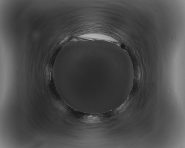 X0000087410180200705041255