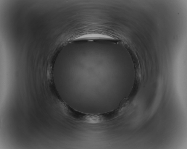 X0000087410181200705041255