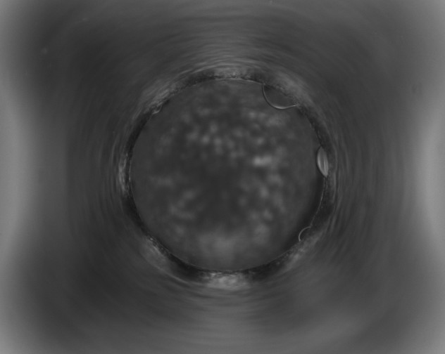 X0000087410185200705041255