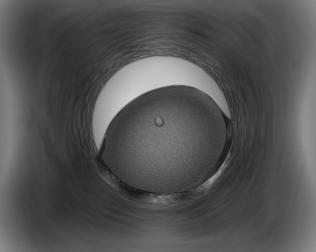 X0000087410186200705041255