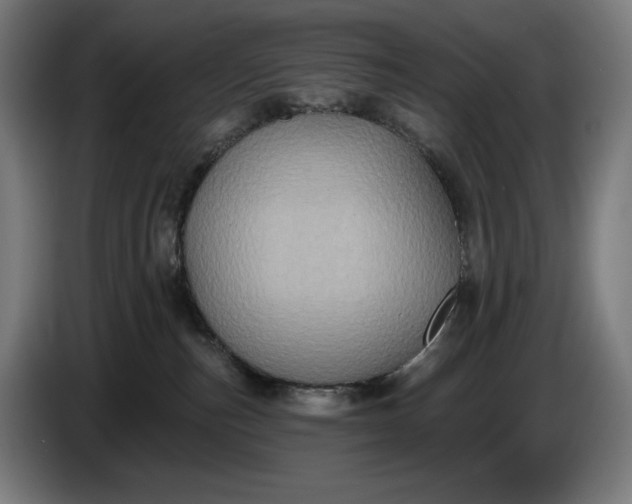 X0000087410187200705041255