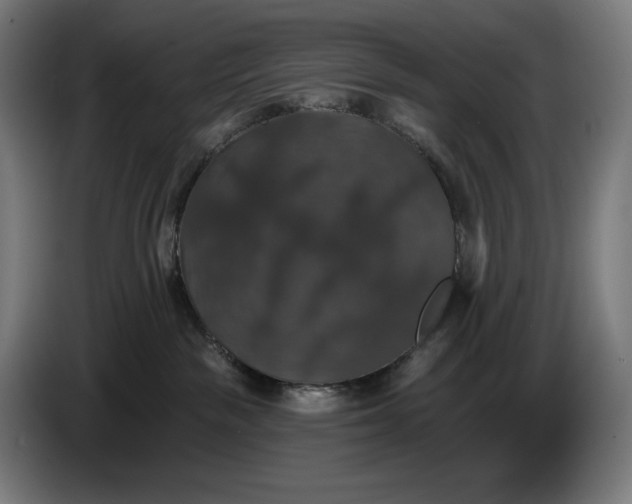 X0000087410189200705041255