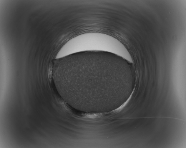 X0000087410190200705041255