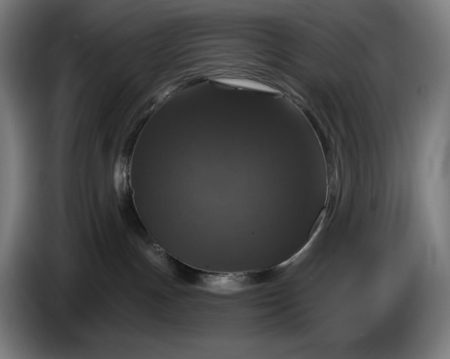 X0000087410191200705041255