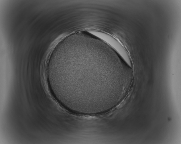 X0000087410193200705041254