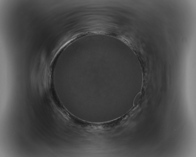 X0000087410194200705041254