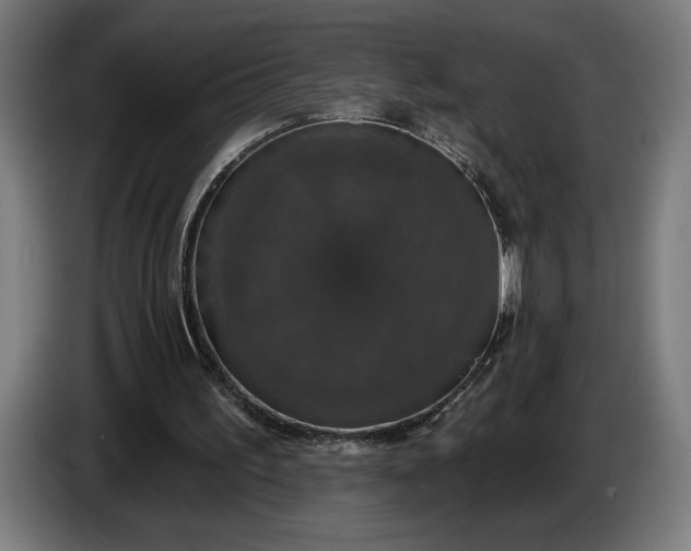 X0000087410195200705041254