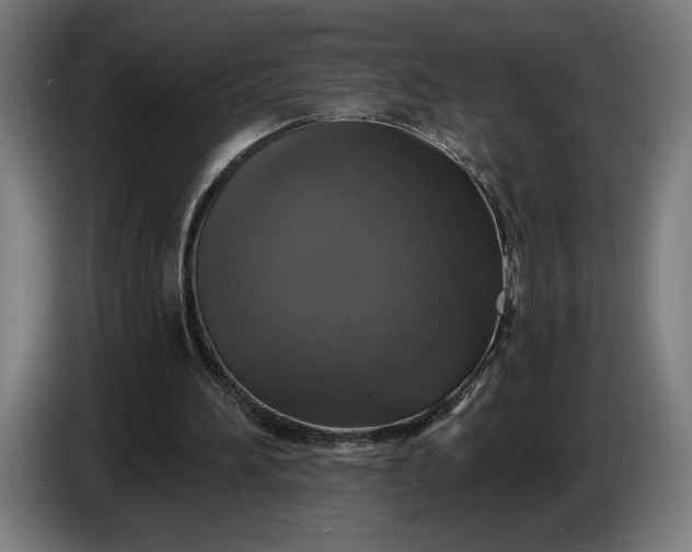 X0000087410196200705041254